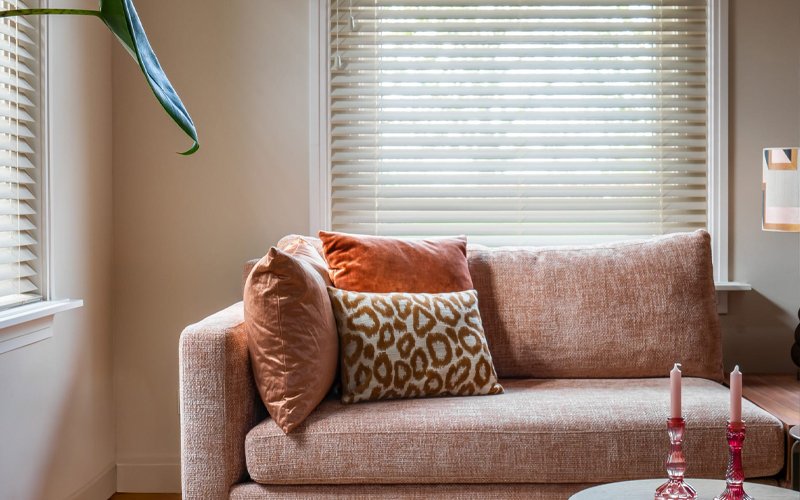 02-2026_LP-actie_800x500